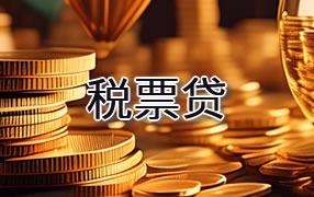 西双版纳税票贷